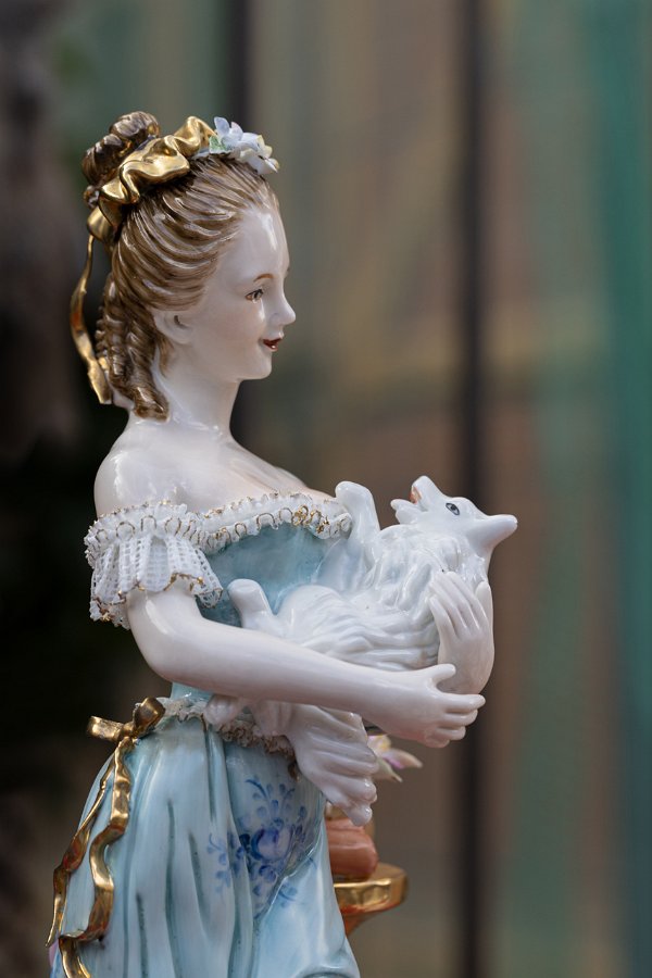 17 - LA SPLENDIDA DAMA CON IL CAGNOLINO.jpg